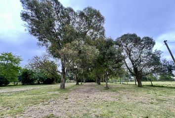 Terrenos en  La Plata, Partido De La Plata