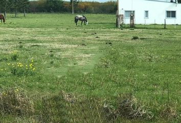 Terrenos en  Basavilbaso, Entre Ríos