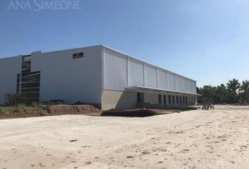 Galpónes/Bodegas en  Ricardo Rojas, Partido De Tigre