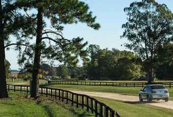 Terrenos en  San Nicolás, Capital Federal