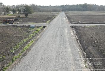 Terrenos en  Arturo Seguí, Partido De La Plata