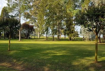 Terrenos en  Los Quinchos, Partido Del Pilar