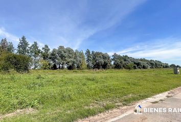 Terrenos en  Parada Robles, Exaltación De La Cruz