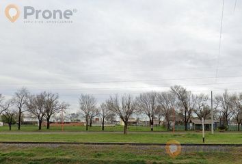 Terrenos en  Ruta Nacional 11, Timbúes, San Lorenzo, Santa Fe, Arg