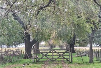 Casa en  Loma Verde, Partido De General Paz