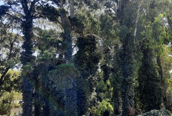 Terrenos en  Bosque Peralta Ramos, Mar Del Plata