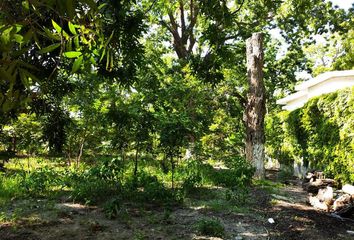 Lote de Terreno en  Barrio Macuyu, Parras