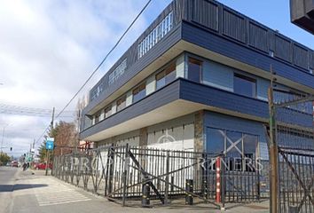 Bodega en  Valdivia, Valdivia