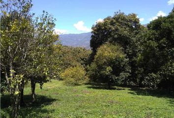 Lote de Terreno en  San Jerónimo, Antioquia