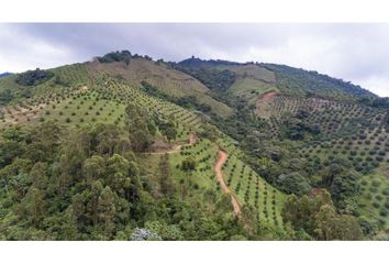 Villa-Quinta en  Pijao, Quindío