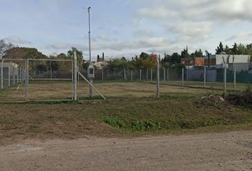 Terrenos en  City Bell, Partido De La Plata