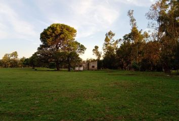 Terrenos en  Orense, Partido De Tres Arroyos