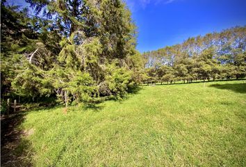 Lote de Terreno en  El Carmen De Viboral, Antioquia