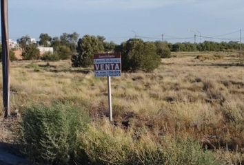 Terrenos en  Viedma, Río Negro