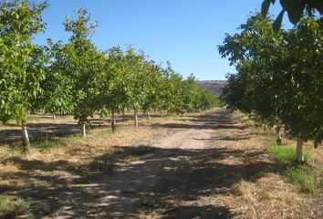 Terrenos en  Calingasta, San Juan