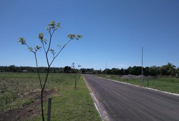 Terrenos en  Oliveros, Santa Fe