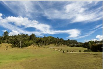 Lote de Terreno en  Rionegro Antioquía