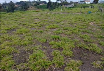 Lote de Terreno en  Santuario, Antioquia