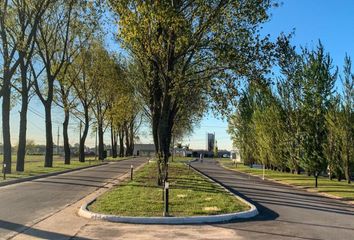 Terrenos en  Santa Inés, Esteban Echeverría