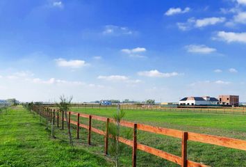 Terrenos en  Campos De La Enriqueta, Partido De La Plata