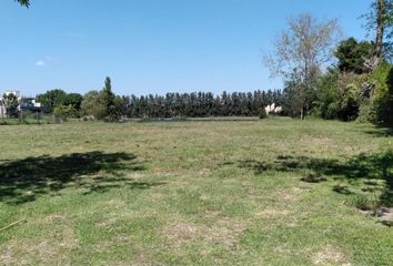 Terrenos en  Santa Catalina, Partido De Tigre