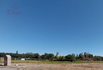 Terrenos en  Valentina Sur Rural, Neuquén