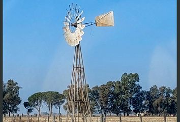 Terrenos en  Carlos Tejedor, Partido De Carlos Tejedor