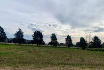 Terrenos en  El Espinillo Golf, Partido De Luján