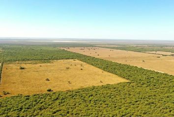 Terrenos en  Santa Rosa Del Río Primero, Córdoba