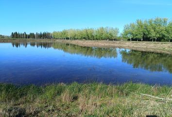 Terrenos en  Coronel Brandsen, Brandsen