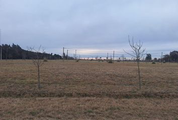 Terrenos en  Casilda, Santa Fe