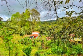 Casa en  Salento, Quindío