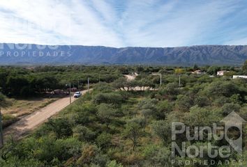 Terrenos en  Merlo, San Luis