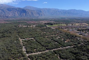 Terrenos en  Cafayate, Salta