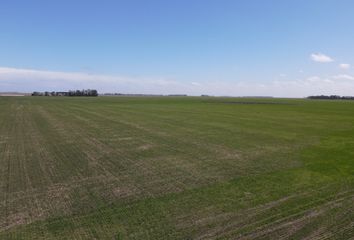 Terrenos en  San Cayetano, Partido De San Cayetano