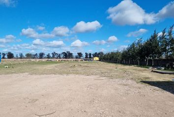 Terrenos en  Lomas De Zamora, Partido De Lomas De Zamora