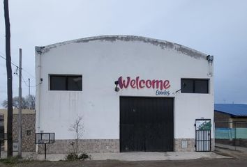 Galpónes/Bodegas en  Villa Regina, Río Negro