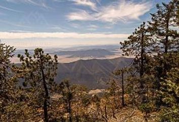 Lote de Terreno en  La Joya, Arteaga, Arteaga, Coahuila