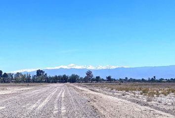 Terrenos en  Los Corralitos, Mendoza