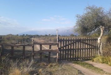 Terrenos en  Cortaderas, San Luis