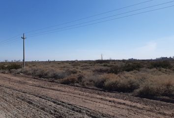 Terrenos en  Las Violetas, Mendoza