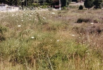 Terreno en  Molina De Segura, Murcia Provincia