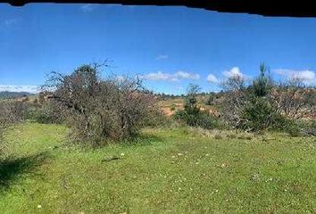 Parcela en  Marchihue, Cardenal Caro