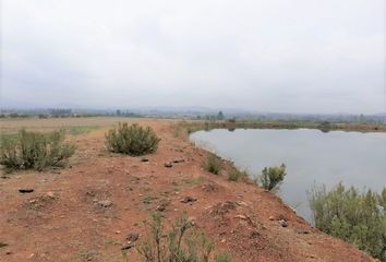 Parcela en  Pencahue, Talca