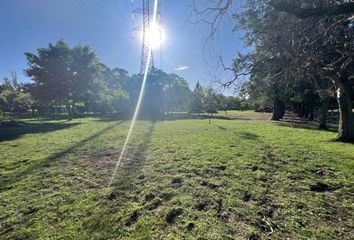 Quinta/Finca en  Abasto, Partido De La Plata