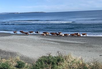 Parcela en  Maullín, Llanquihue