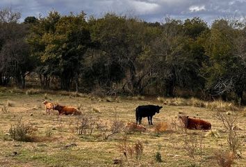 Terrenos en  Villa Yacanto, Córdoba