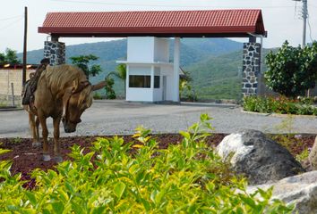 Lote de Terreno en  Pueblo Alpuyeca, Xochitepec, Morelos