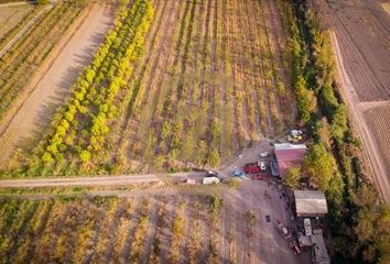 Parcela en  Buin, Maipo