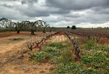 Terreno en  Almonte, Huelva Provincia